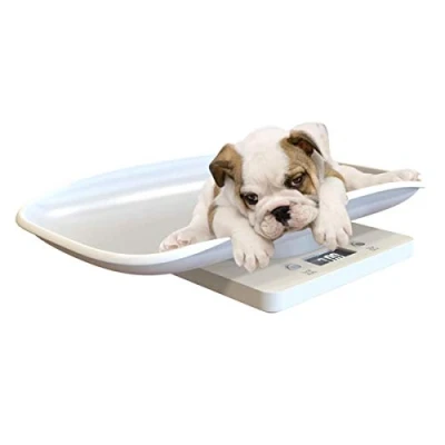 Image of Petyoung Multi Function Digital Pet Scale to Measure Dog and Cat Weight Accurately Up 10KG,LCD Display Weighing with Comfortable Curving Platform