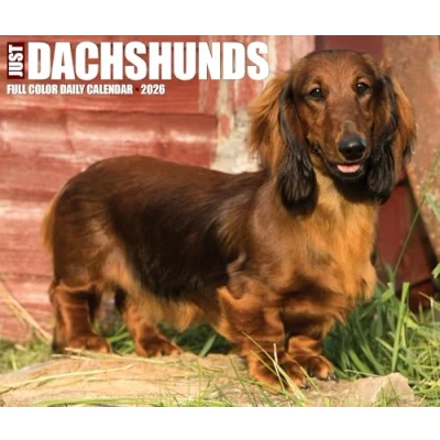 Image of Just Dachshunds Desk Calendar 2026