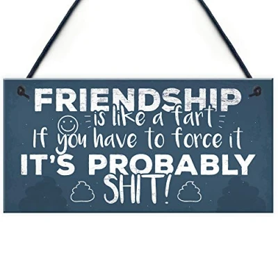 Image of RED OCEAN Funny Friendship Sign Novelty Best Friend Hanging Plaque Birthday Rude Thank You Gift