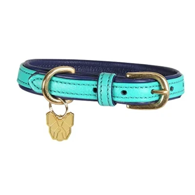 Image of Shires Digby &amp; Fox Padded Leather Dog Collar Aqua Large