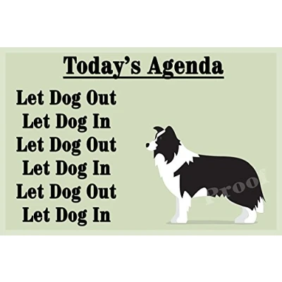 Image of Border Collie Sheepdog Funny Fridge Magnet Gift
