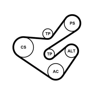 Image of 1108756, 1108758, YS4J6K228CA, YS4J6K228DA, YS4J6K288CA Timing belt kit CONTITECH CT901K3 116 FORD: ESCORT Classic Hatchback, 7, MONDEO 2