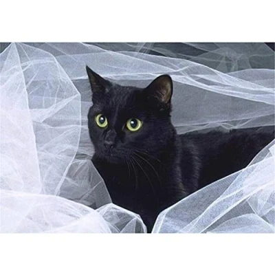 Image of Tinnfea DIY 5D Diamond Painting Kits， Black cat 30x40cm Adults Full Drill Art,Diamond Embroidery Crystal Rhinestone Pasted Arts Craft for Relaxation and Home Wall Decor(12x16in)