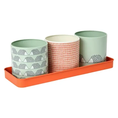 Image of Scion Living Spike Set of 3 Herb Pots Sage
