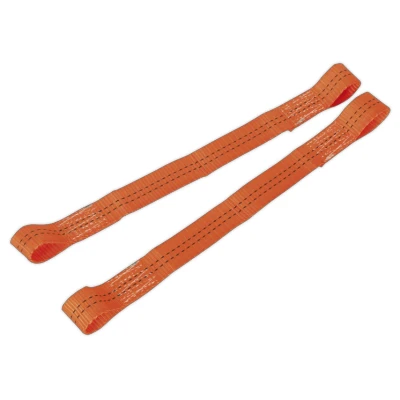 Image of Sealey Tie Down Securing Loop Pair