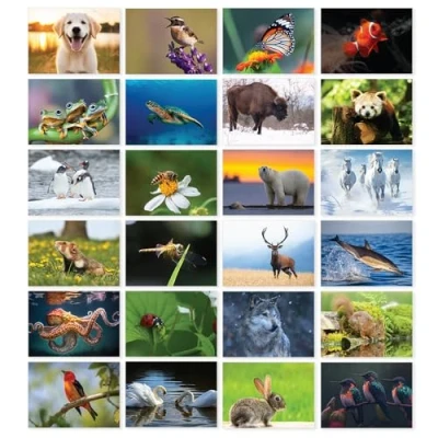 Image of Papa Prints Pack of 24 British Wildlife Greeting Cards Blank (149 x 105 mm) with Envelopes Inside