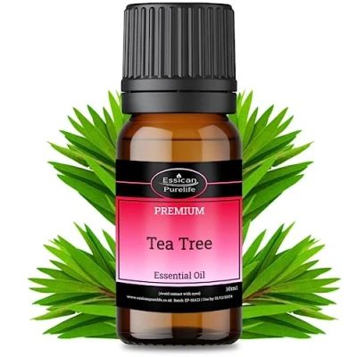Image of Tea Tree Essential Oil 10ml, 100% Natural Therapeutic Grade, Ideal Oils for Cleaning House, Diffuser, Pure Piercings, Skin