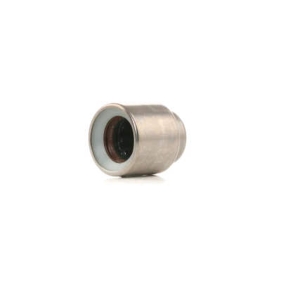 Image of 034105313, 034105313A, 034141313A Pilot Bearing, clutch SACHS 1863 869 005 AUDI: A6 C4 Saloon, A4 B5 B6/B7 Convertible
