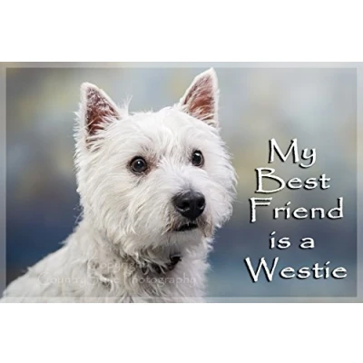 Image of Westie West Highland White Terrier Jumbo Fridge Magnet Gift My best friend is a