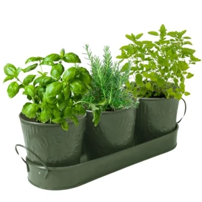 Image of Set of 3 Metal Embossed Planters with Drip Tray: Indoor &amp; Outdoor Windowsill, Kitchen, Garden, Desks Ideal for Plants, Herb, Flowers and Succulents. (Model 1)