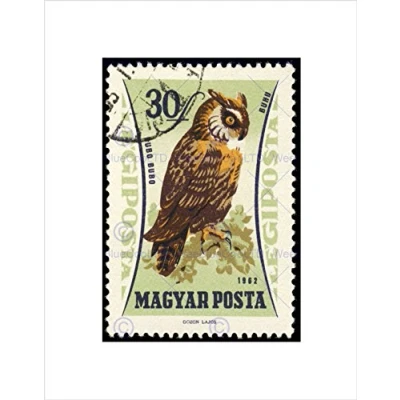 Image of Wee Blue Coo POSTAGE STAMP HUNGARY 30 FORINT EURASIAN EAGLE OWL FRAMED ART PRINT B12X11037