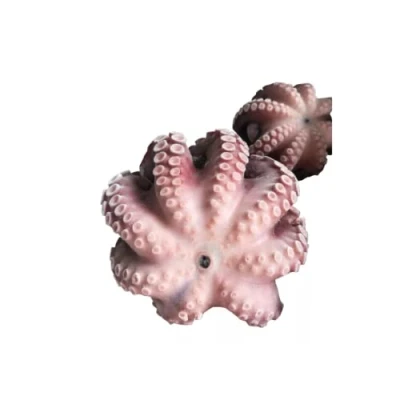 Image of Frozen Raw Octopus Gutted 1.5kg