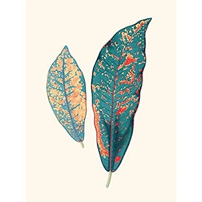 Image of Wee Blue Coo Primary Coloured Exotic Leaves Unframed Art Print Poster Wall Decor 12x16 inch