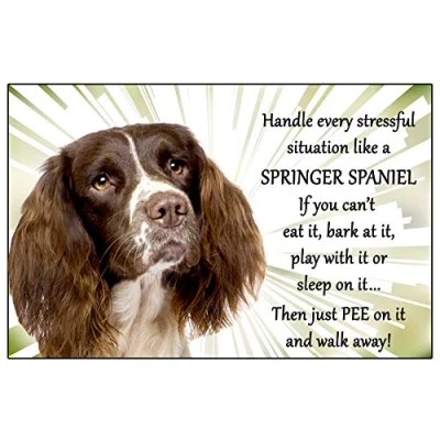 Image of Springer Spaniel Dog Just Pee on it Fun novelty Flexible 6&quot; x 4&quot; Magnet