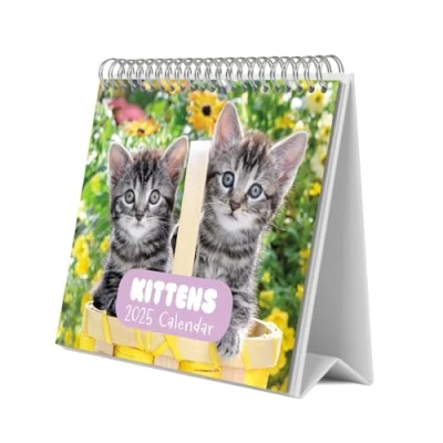 Image of Grupo Erik Cat Desk Calendar 2025 8 x 7 inches 20 17 cm 12 Month Planner, Desktop 2025, Cats