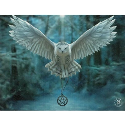 Image of ANNE STOKES Canvas Plaque Awake Your Magic 25x19cm 1pc.