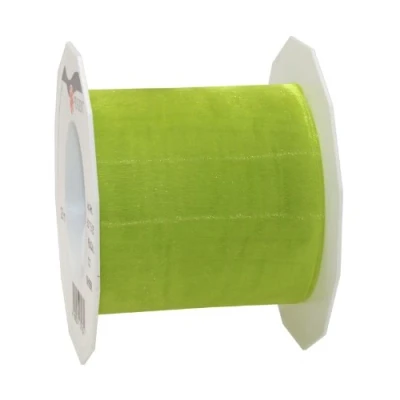 Image of C.E. Pattberg Sheer Organza Ribbon Lime Green, 27 Yards Gift Wrap Ribbon, 2.8 inches Width, Accessories for Decoration &amp; Handicrafts, Presents, Every Occasion