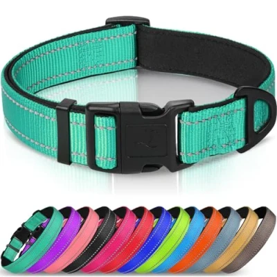 Image of Joytale Dog Collar, Reflective Padded Neoprene Pet Adjustable Nylon Collars for Small Dogs, S, Teal