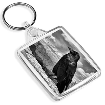 Image of Destination Vinyl Keyrings Black Raven Crow Blackbird Keyring IP02 Twitchier 8109