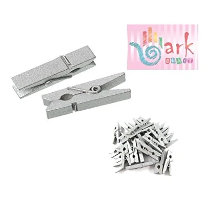 Image of 100 Mini Wooden pegs (Silver)