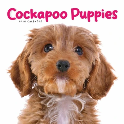 Image of Cockapoo Puppies Mini Calendar 2026