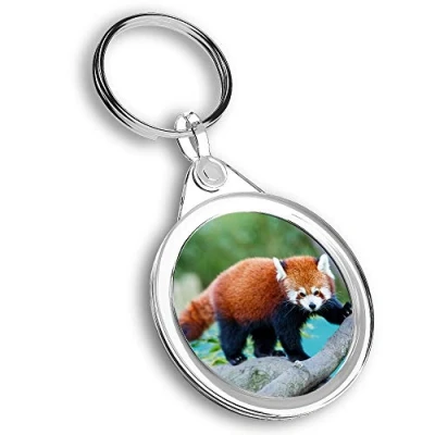 Image of Destination Vinyl ltd 1 x Photo Keyring Wild Red Panda Nature Animal Bear KeychainKeyringCharm #46441