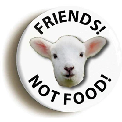 Image of Ozorath FRIENDS NOT FOOD LAMB VEGETARIAN BADGE BUTTON PIN (Size is 1inch/25mm diameter)