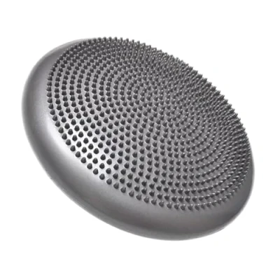 Image of eBoutik Non Slip Body Fitness Balance Board Round Training Wobble Cushion for Lumbar Support, Lower Back Pain Relief, Core Strength, Stability, Rehabilitation Physio Pump Included (Silver)