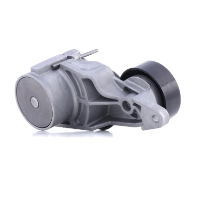 Image of 30757282, 31251251 Tensioner Lever, v ribbed belt INA 534 0319 10 70mm 24mm VOLVO: XC90 I, V70 2