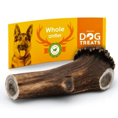 Image of Natural Dog Treats antlers for dogs, Naturally Shed Deer Antler, 100% Chews, Antler X Large dogs XL (151 200 gr)