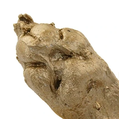 Image of BabyRice Value Paw Casting Kit includes Alginate, Plaster &amp; Metallic Paint