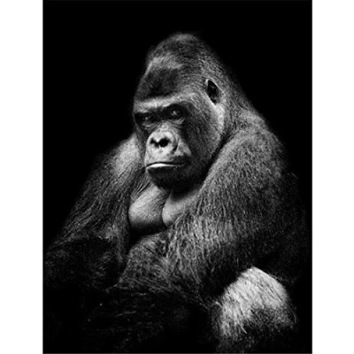 Image of DIY 5D Diamond Painting Kits for Adults/Kids Gorilla Full Drill Embroidery Crystal Rhinestone Handmade Canvas Paintings Pictures Arts Craft Home Wall Decor