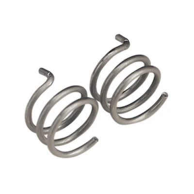 Image of Sealey Nozzle Spring MB25/36 Pack of 2