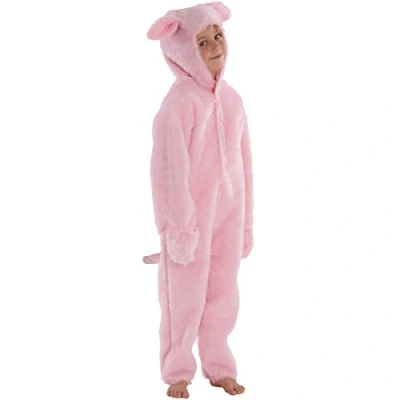 Image of Charlie Crow Pig Costume for Kids 9 11 Years