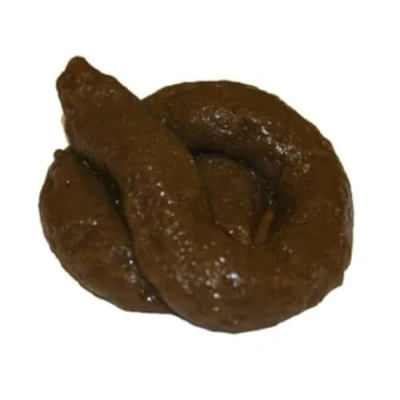 Image of The Little Party Shop Sticky Soft Fake Dog Poo Turd Novelty Practical Joke Prank Fun
