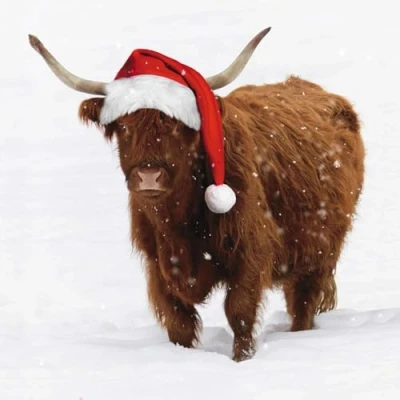 Image of GBCC Charity Christmas Cards Pack of 6 with Highland Cow Santa Design Eco Friendly Xmas Multipack Envelopes