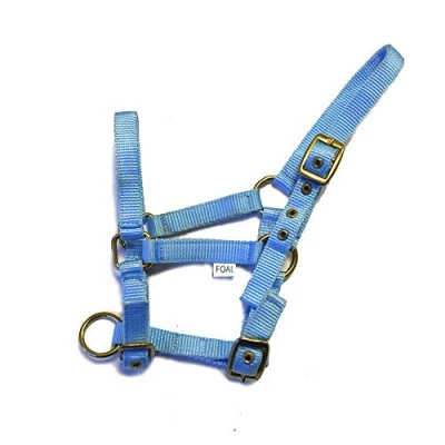 Image of Rhinegold Nylon Foal Headcollar Baby blue