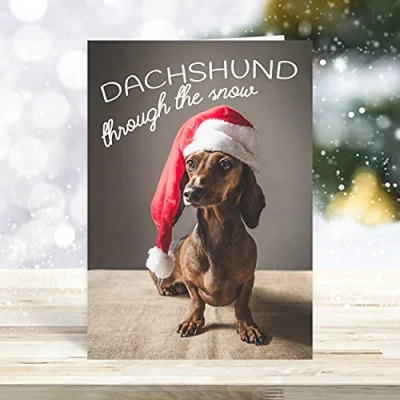 Image of Hip Hooray &#039;Dachshund Through The Snow&#039; Dogs Christmas Cards Funny Humorous Pun Theme Design Pack of 10