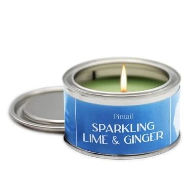 Image of Pintail Candles Paint Pot Candle (Sparkling Lime &amp; Ginger Home Fragrance) Scented Long Burning (14 Hour Burn Time), Hand Poured Gifts for Women Genuine Gift