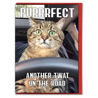 Image of Driving test card, congratulations on passing your card (Purffect)