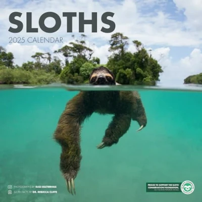 Image of SLOTHS 2025 Wall Calendar