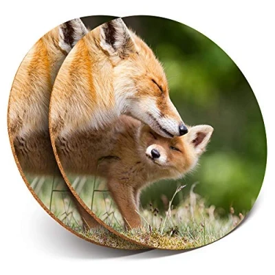 Image of 2 x Round Coasters Adorable Fox Family Wild Fun Cork Backed Home Kitchen Accessory Tea Coffee Mug Mat #3695