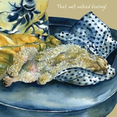 Image of Little Dog Laughed Tired Cocker Spaniel Greeting Card Blank Inside Any Occasion SQD163