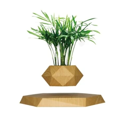 Image of SaiDuoDuo Wooden Levitating Plant Pot, Succulent Pots Planter Cactus Planter, Decor for Home &amp; Office Magnetic Floating Display,Brown