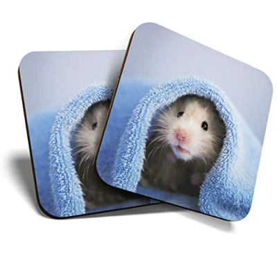 Image of Great Coasters (Set of 2) Square/Glossy Quality Coasters/Tabletop Protection for Any Table Type Cute Hamster Mouse Rodent Mice #14886