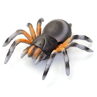 Image of Tobar 9289 Wall Walking Spider, Mixed