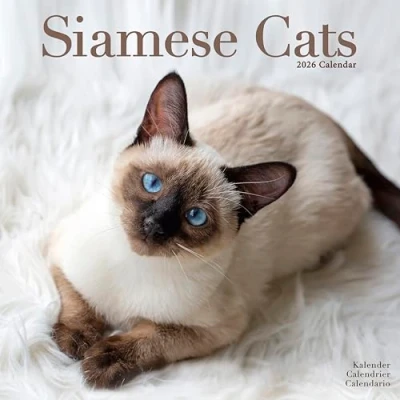 Image of Siamese Cats Calendar 2026