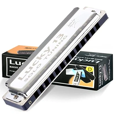 Image of East top Lucky 13 Bass Plus Blues harmonica Holes Diatonic Harp Mouth Organ Professional Musical Instruments Solo D key for Adults
