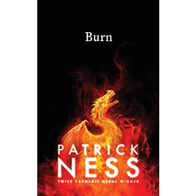 Image of Burn