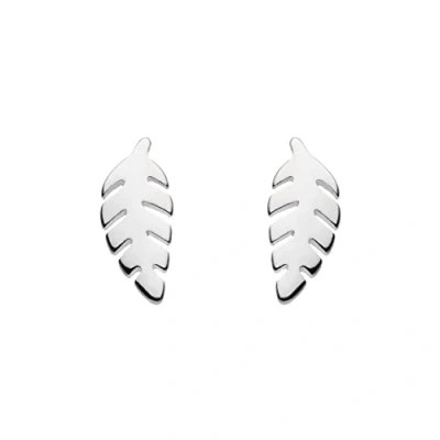 Image of Dew Sterling Silver Leaf Stud Earrings
